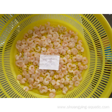 High Quality Frozen Argentina Crystal Red Pud Shrimp